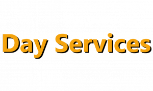 Day Services